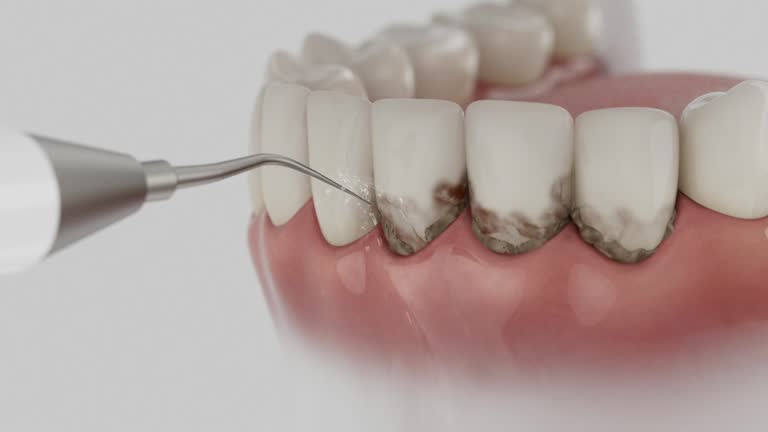 Reliable Dental contractor in Huntington Woods, MI by Dentist Open Now
